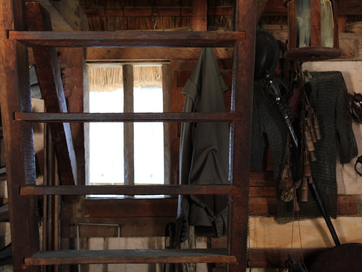 Oil painting of a four-rung wooden ladder leaning against a weathered barn wall in warm afternoon light, each rung inscribed with a stage of the migration process